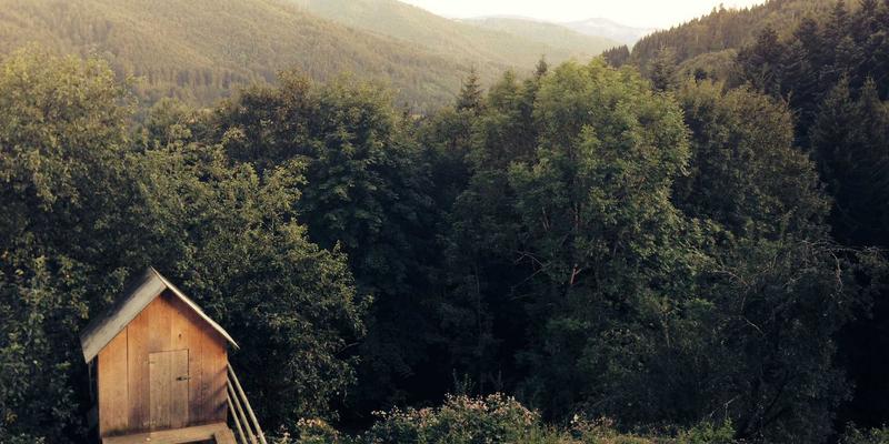 5G网络切片技术深度赋能：解锁垂直行业应用场景的技术分享与编程资源