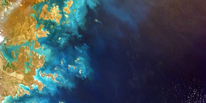 SD-WAN与SASE融合演进：为开发者与架构师提供的编程资源与技术分享