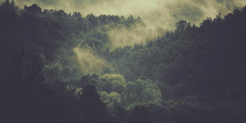 SD-WAN技术深度解析：如何利用网络技术优化企业多分支架构与成本