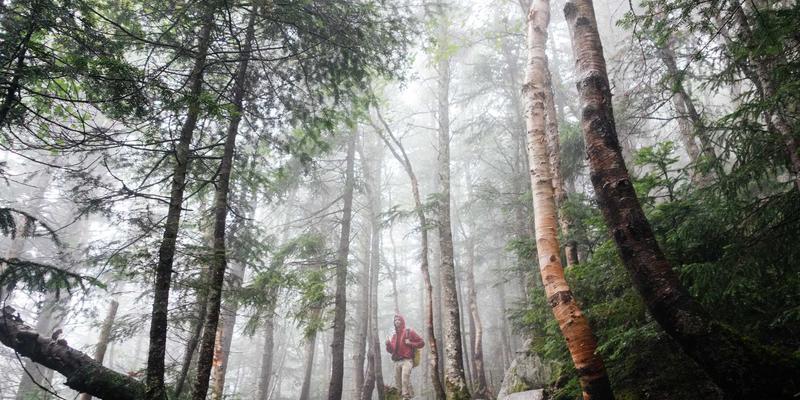 技术分享：Wi-Fi 6/6E如何像波西米亚风格般自由穿梭，彻底革新高密度无线网络性能