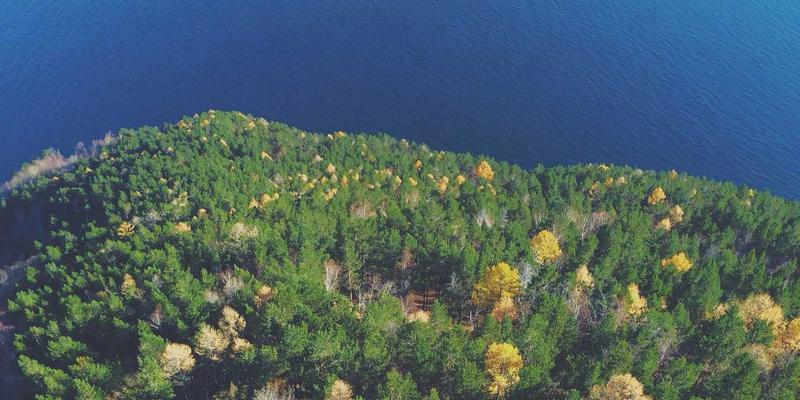 波西米亚风格与网络技术：在自由与秩序间寻找学习资料的新范式