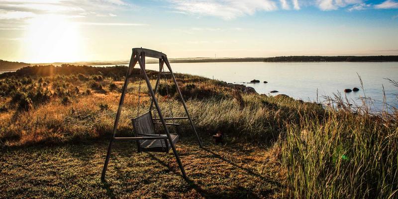 波西米亚风格与网络技术：自由灵魂如何重塑编程资源生态