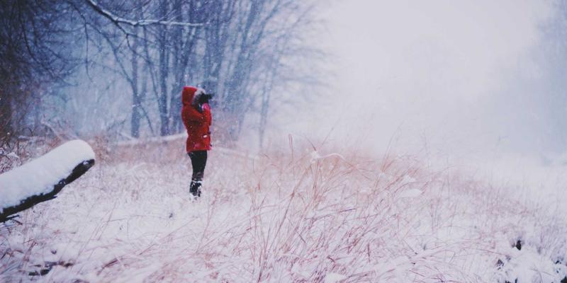 波西米亚风格如何启发网络技术98时代的开发工具设计哲学