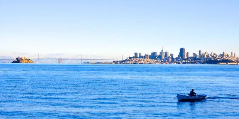 网络技术36：精选开发工具与编程资源全解析