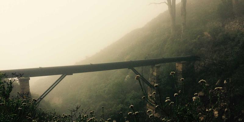 网络技术56：波西米亚风格下的技术分享与编程资源探索