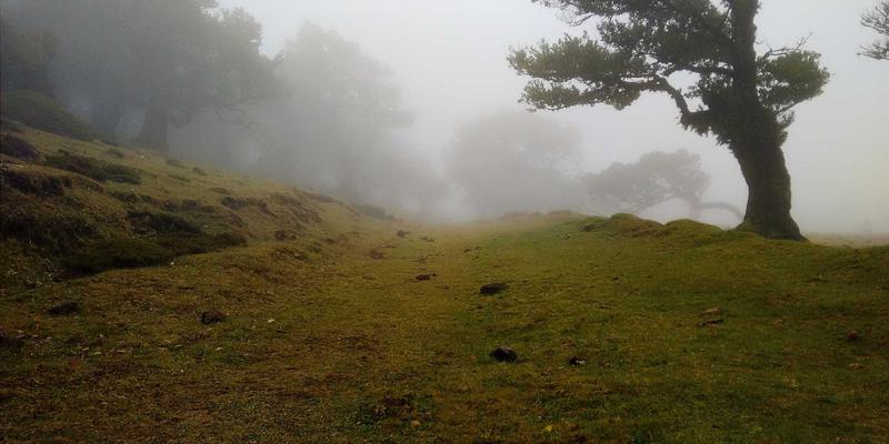 网络技术67：从基础到前沿的技术分享与学习资料全指南