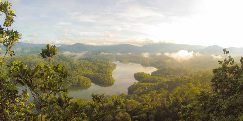 融合波西米亚风格开发工具与网络技术：构建下一代AI驱动的SOAR系统指南