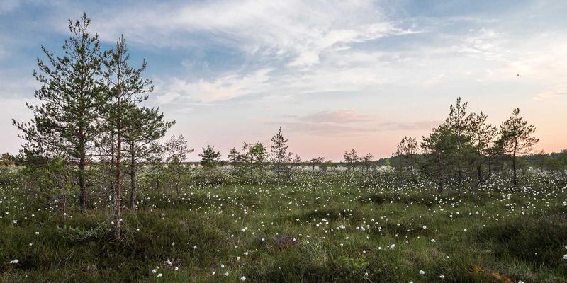 量子密钥分发骨干网安全通信：前沿开发工具、技术分享与学习资料全解析