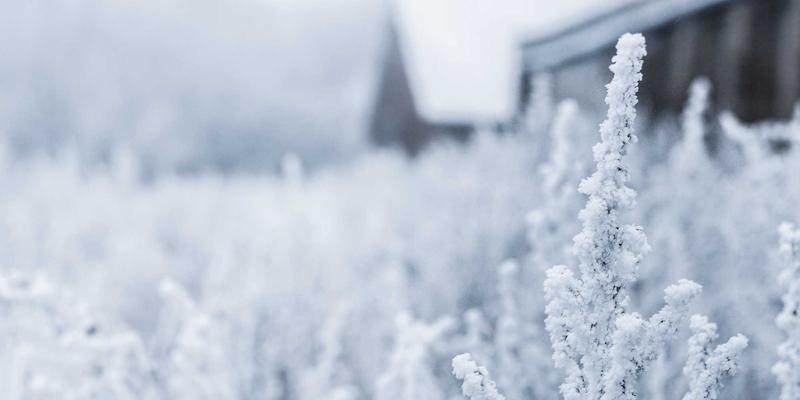 零信任网络架构（ZTNA）落地指南：超越传统边界的现代安全模型 | 网络技术与学习资源